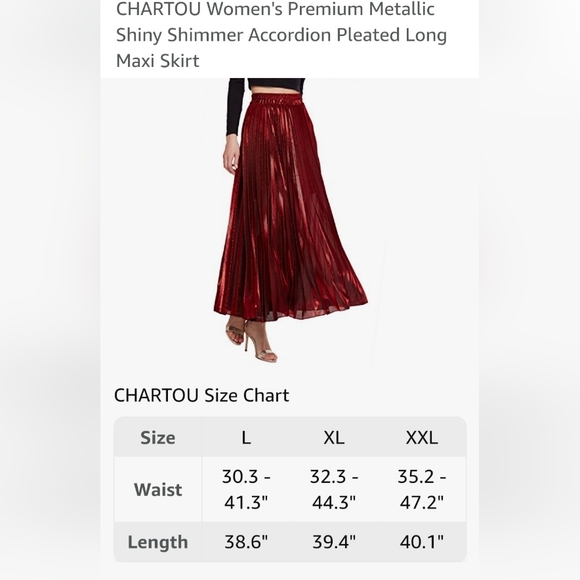 Chartou Women's Metallic Shiny Shimmer Accordion Pleated Maxi Skirt ✨️ NWT - Picture 7 of 7